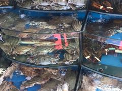 -渔中舟海鲜大排档(普陀沈家门店)