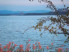 -星巴克(成都科学城店)