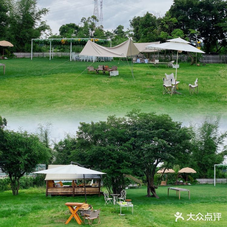 🍃 七都的后花园下午茶圣地 