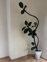 -美丽妈妈产后恢复中心(南桥旗舰店)