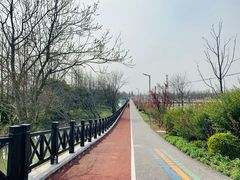 -上海长兴岛郊野公园