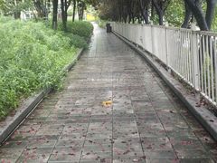 -海棠烟雨公园