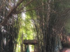 -天赐温泉
