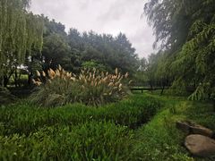 -尚贤河湿地