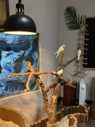 -Zoolung Zoolung动物主题公园(海信广场店)