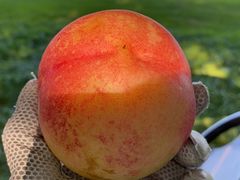 -万柳高尔夫俱乐部