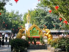 -西双版纳傣族园