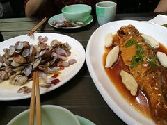 -船歌鱼水饺(淄博万象汇店)