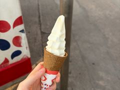 -富豪雪糕车流动点(尖沙咀)