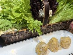 -南门四季铜锅涮肉(左家庄店)