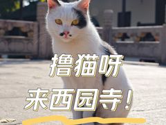 -西园戒幢律寺