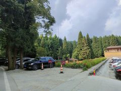-武陵山森林公园