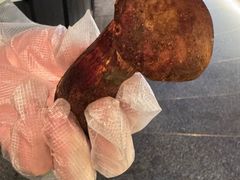 -滇野云南野生菌餐厅(陕西南路店)