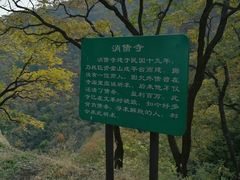 -北京鹫峰国家森林公园