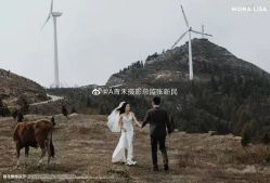点击看大图 -青禾蒙娜丽莎婚纱摄影(武汉总店)