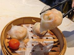 -点都德·毕德寮