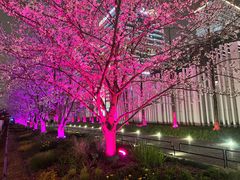 -新天地活力PARK