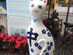 -猫咪博物馆(顶澳仔猫街店)