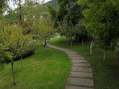 -铁山坪森林公园