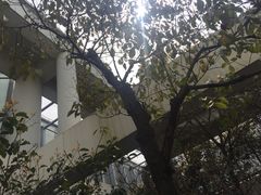 -同济大学图书馆(嘉定校区)