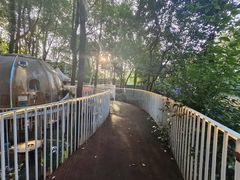 -二荆条·城市森林火锅旗舰店
