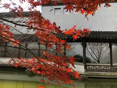 -秋霞圃