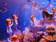 -海合安成都极地海洋公园