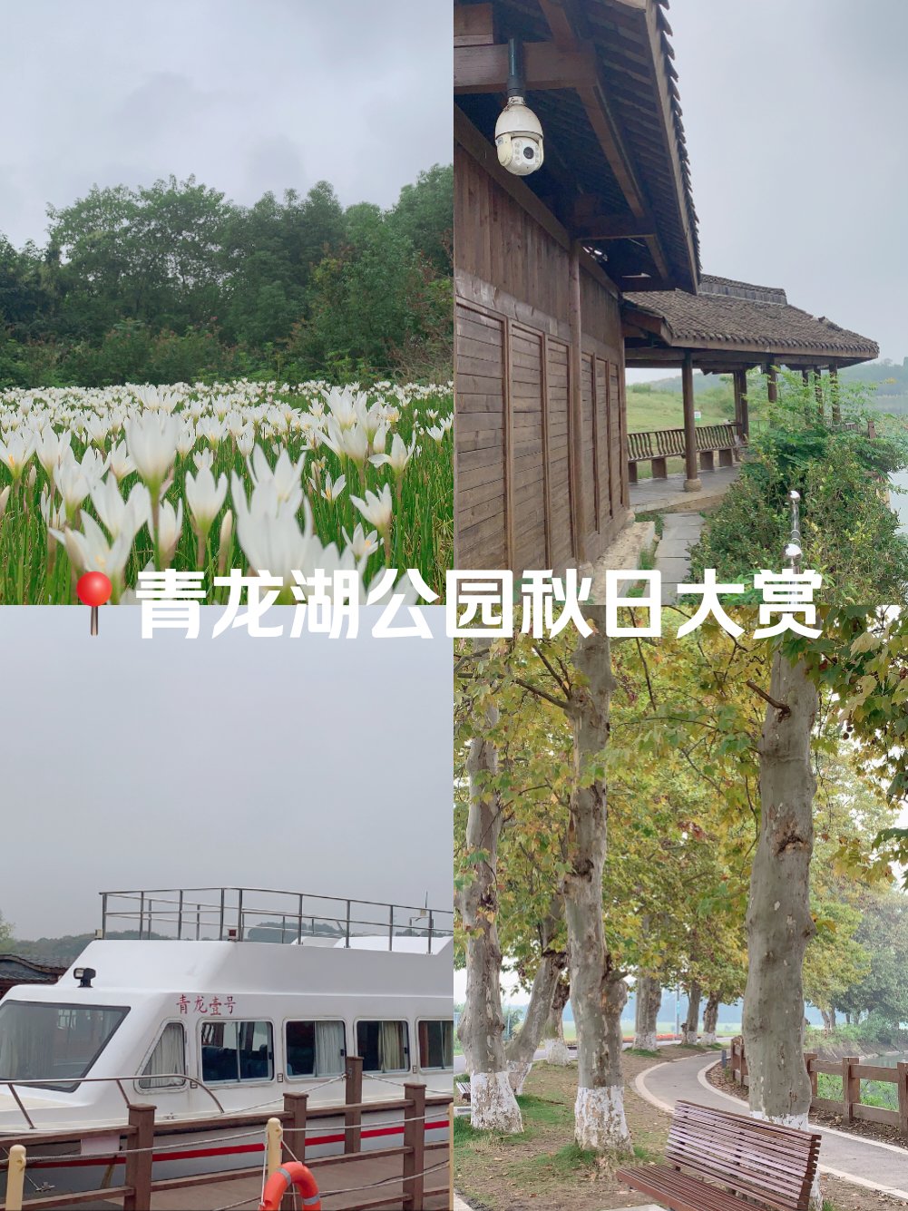 成都青龙湖景点介绍图片