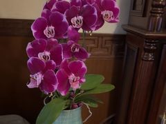 -聚德楼饭庄·果木烤鸭·京鲁菜(劲松店)