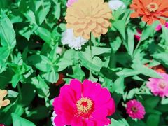 -长春公园(普阳街道)