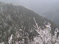 -四明山国家森林公园