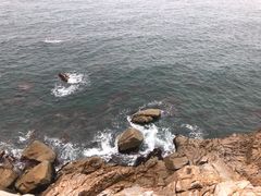 -广东惠东海龟国家级自然保护区