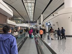 -故宫礼物(北京大兴国际机场店)