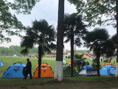 -黄海国家森林公园