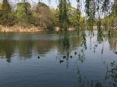 -农园餐厅(北京大学店)