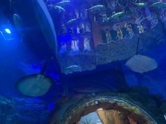 -华夏文旅海洋公园