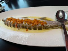 -新光酒家·河豚·海鲜·蟹料理(浦东店)