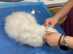 -芭比堂动物医院·CT·微创中心(新顺分院)