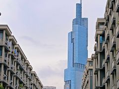 -紫峰大厦