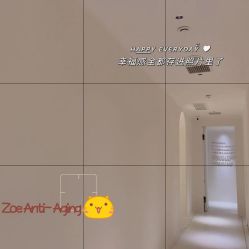 -紫御国际抗衰ZOE ANTI AGING