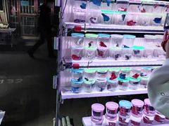 -中环花鸟鱼虫市场