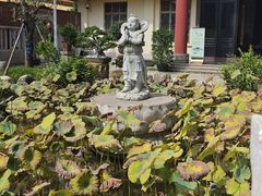 -仙岳公园