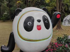 -金花茶公园