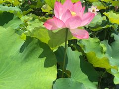 -陶辛水韵
