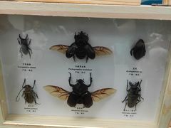 -中国杭州低碳科技馆