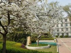 -天津医科大学学生食堂
