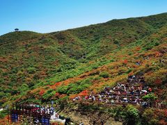 -大围山国家森林公园