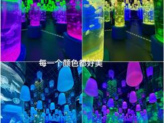 -欢乐海岸海洋奇梦馆