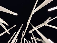 -武昌中华路码头(轮渡站)