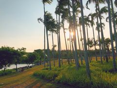 -宝安西湾红树林湿地公园